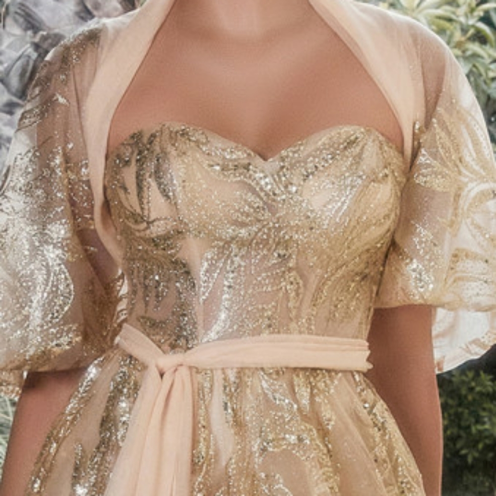 Gold,blue,silver,mauve pink strapless long gown with shawl cape - Picture 2 of 8